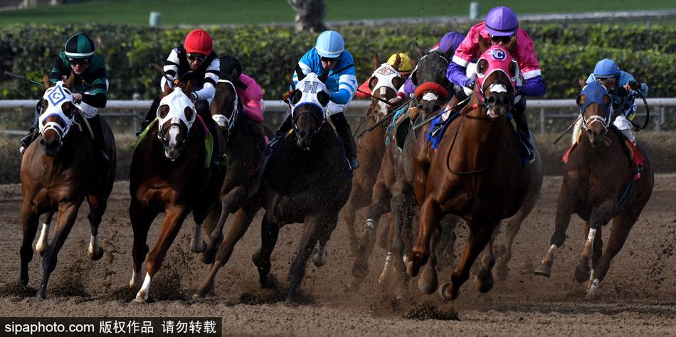 探索神秘数字组合，66O678王中王定码四不像一肖，揭秘神秘数字组合，王中王定码四不像一肖探索之旅
