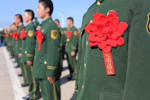 关于2024退伍军人省考岗位分析的文章，2024退伍军人省考岗位深度解析与趋势预测
