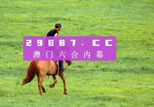 全网最精准澳门资料网站，探索与解析，全网最精准澳门资料网站，探索与解析揭秘