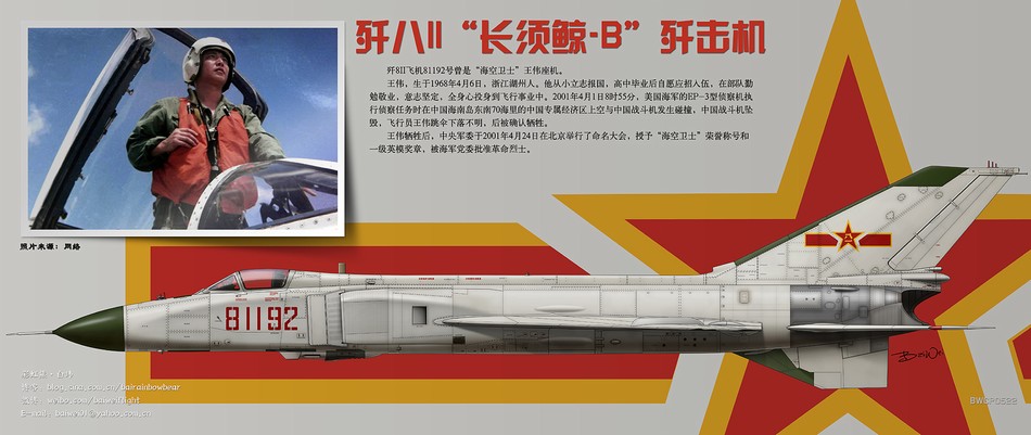 歼八战斗机现存服役数量解析，歼八战斗机现存服役数量深度解析