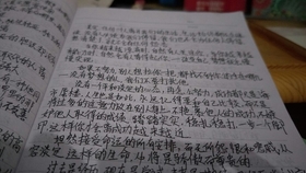 四月新闻摘抄，科技、社会与环境的多维度观察，四月新闻摘要，科技、社会与环境多维观察报道