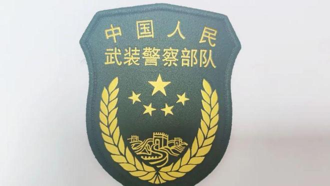 武警臂章21式，荣耀的象征与时代的印记，武警臂章21式，荣耀的象征，时代的印记