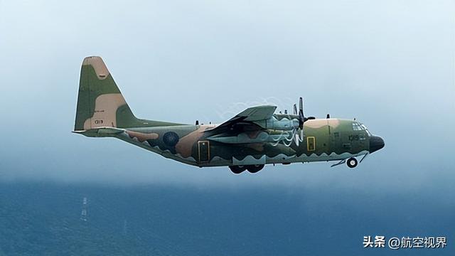 南部战区空军停飞，深度探究与前瞻，南部战区空军停飞现象，深度探究与前瞻分析