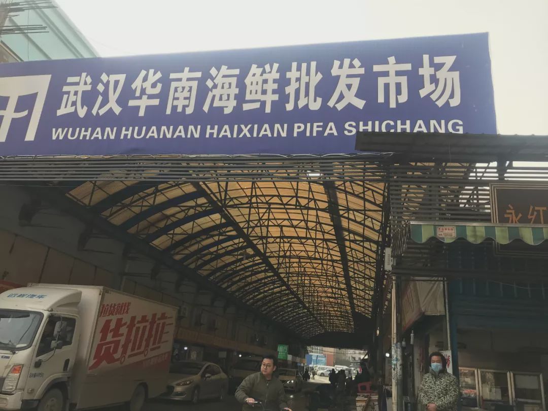 武汉华南海鲜市场，一座城市的鲜活记忆，武汉华南海鲜市场，城市鲜活记忆的缩影
