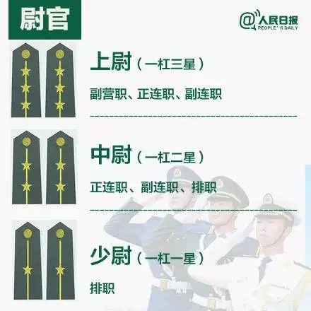 司令是什么级别的官，司令的级别与职务，注，标题简洁明了，能够概括文章的主要内容即可。