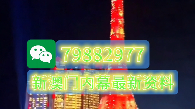 新澳门今晚必开一肖一特——探索澳门博彩文化的魅力，澳门博彩文化魅力探索，今晚必开一肖一特