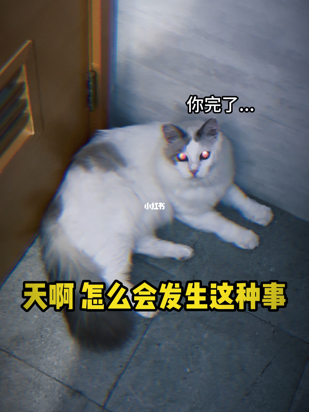 财经 第325页