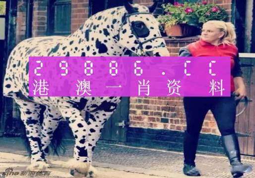 澳门王中王一肖一马