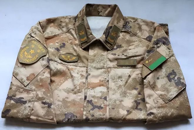 最新迷彩服款式探析，最新迷彩服款式深度解析
