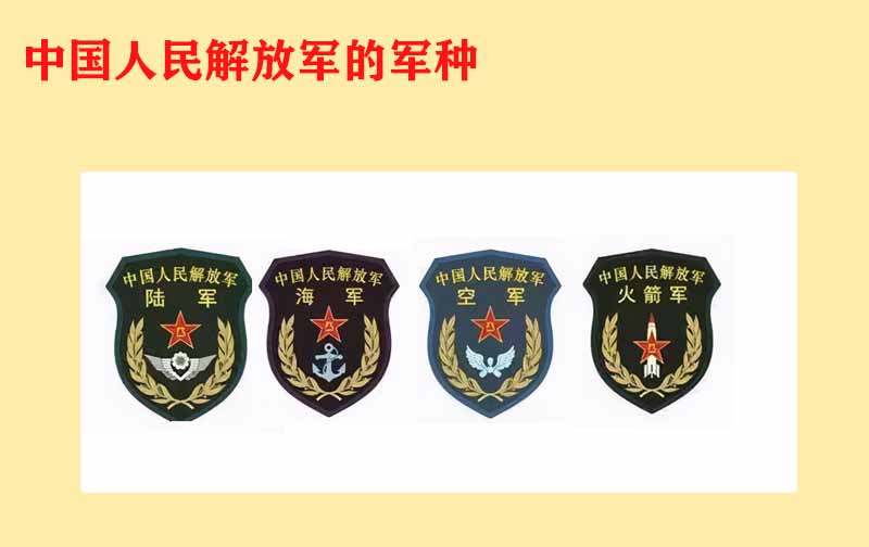 职能概述