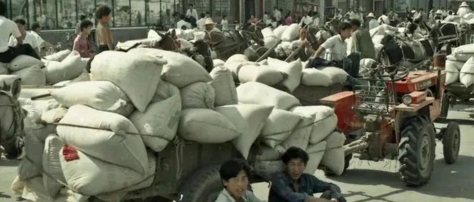 大陆民众都在抢粮，背后的原因与影响分析，大陆民众抢粮现象背后的原因及其影响分析