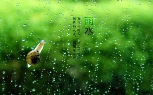 今日雨水图片，自然之美的瞬间捕捉，今日雨水瞬间之美，自然之美的图片捕捉