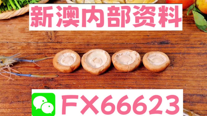 新澳全年免费资料大全，探索与收获，新澳全年免费资料大全，探索之旅与收获的时刻