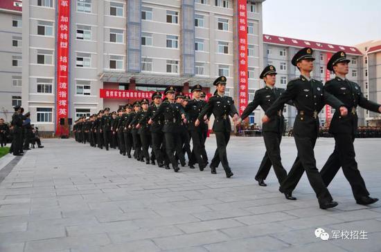 中国武警军校的数量及其重要性，中国武警军校数量及其重要性探究