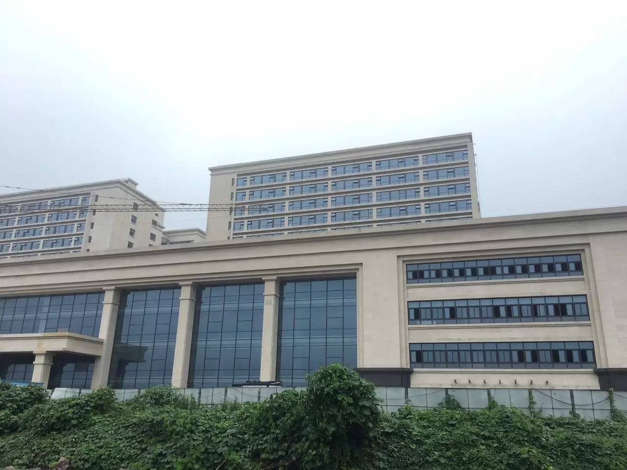 专业医疗服务典范