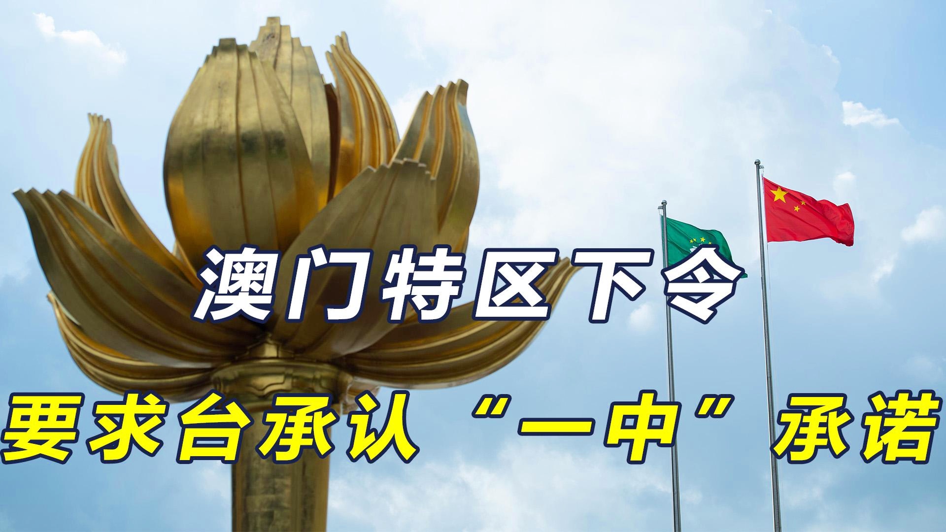 澳门一码一肖一待一中四不的独特魅力与探索，澳门一码一肖一待一中四的独特魅力与揭秘探索