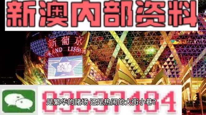 新澳门精准资料大全与管家婆料，探索与解读，澳门精准资料大全与管家婆料，深度解读与探索