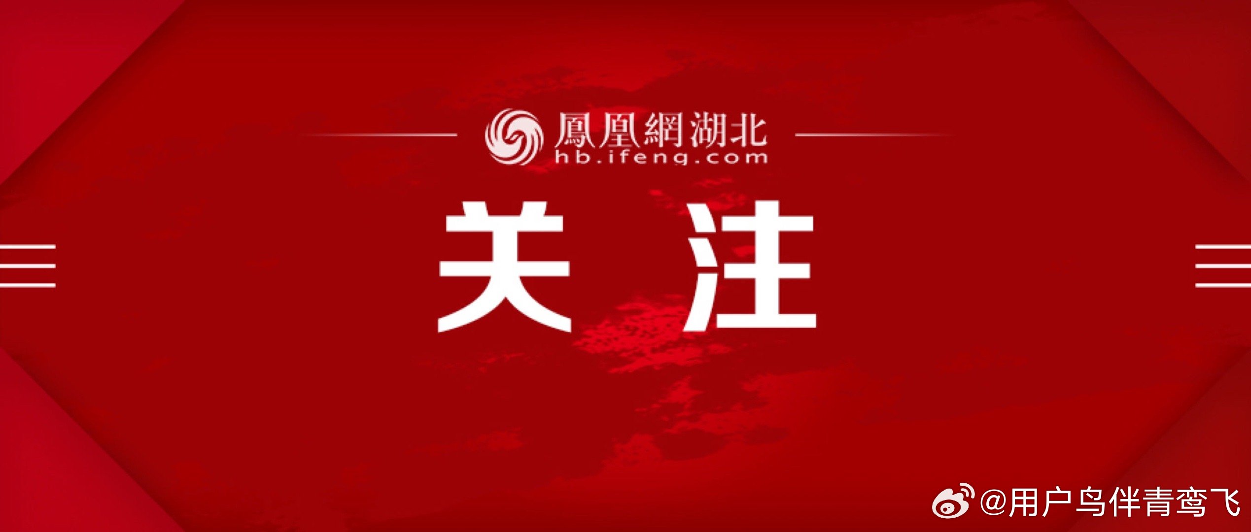 最新信息概览