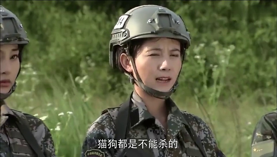 中国第一批女特种兵，勇敢与荣耀的传奇，中国首批女特种兵，勇敢传奇与荣耀之路
