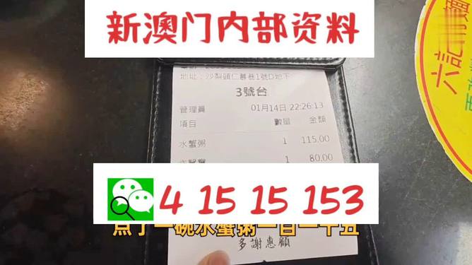 新澳门码精准资料，探索与解读，新澳门码精准资料深度解读与探索