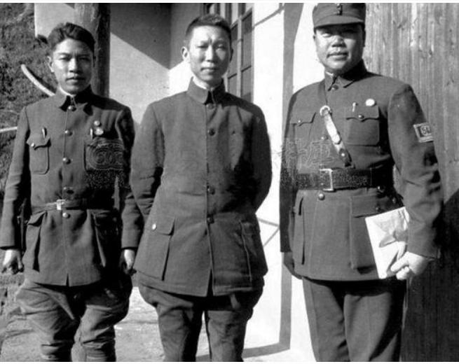 血战万家岭全集免费观看，历史与战争的震撼重现，血战万家岭，历史与战争的震撼重现（全集免费观看）