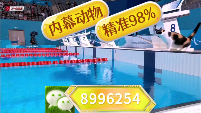 探寻神秘传奇之旅