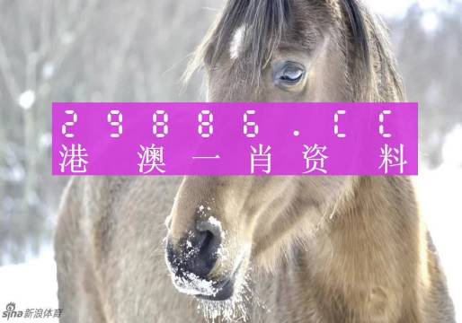 澳门一肖一码，揭秘准确预测的神秘面纱，澳门一肖一码揭秘，准确预测的神秘面纱下探真相