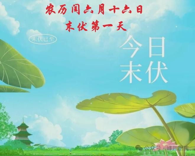 末伏来临，今日是否末伏？关于末伏的解读与体验，今日末伏来临，末伏解读与亲身体验