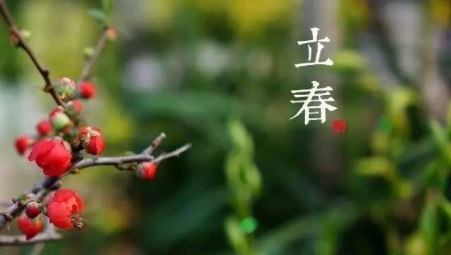 迎接春天的脚步，今天几点立春，探寻2025年的生机盎然，探寻生机盎然，今日几点立春，迎接春天的脚步，展望生机勃发的2025年