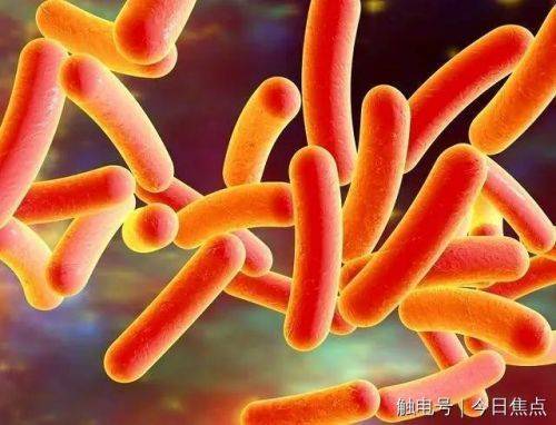 探究集团菌感染，成因、诊断与治疗方案，集团菌感染的成因、诊断与治疗方案探究