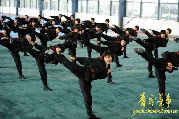 中国武警特种警察学院排名及其影响力探讨，中国武警特种警察学院排名与影响力深度探讨