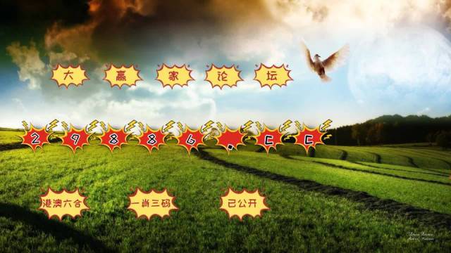 澳门4949开奖结果最快四不像解析，澳门4949开奖结果解析与四不像探讨