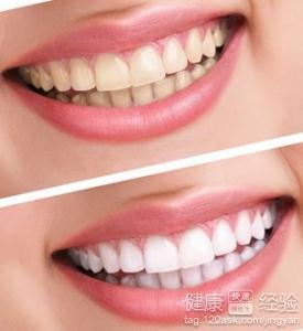 澳门 第252页