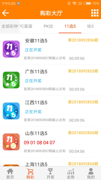 王中王资料一肖中特4x87，深度解析与探讨，王中王资料一肖中特4x87深度解析与探讨