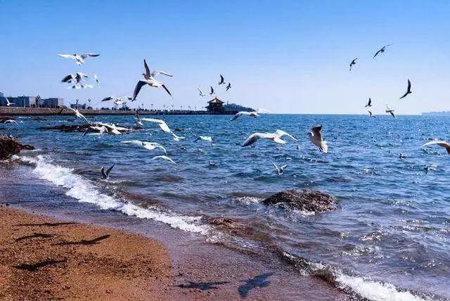 青岛海军博物馆，探寻海军历史的绝佳之地，青岛海军博物馆，探寻海军历史的绝佳之地揭秘之旅