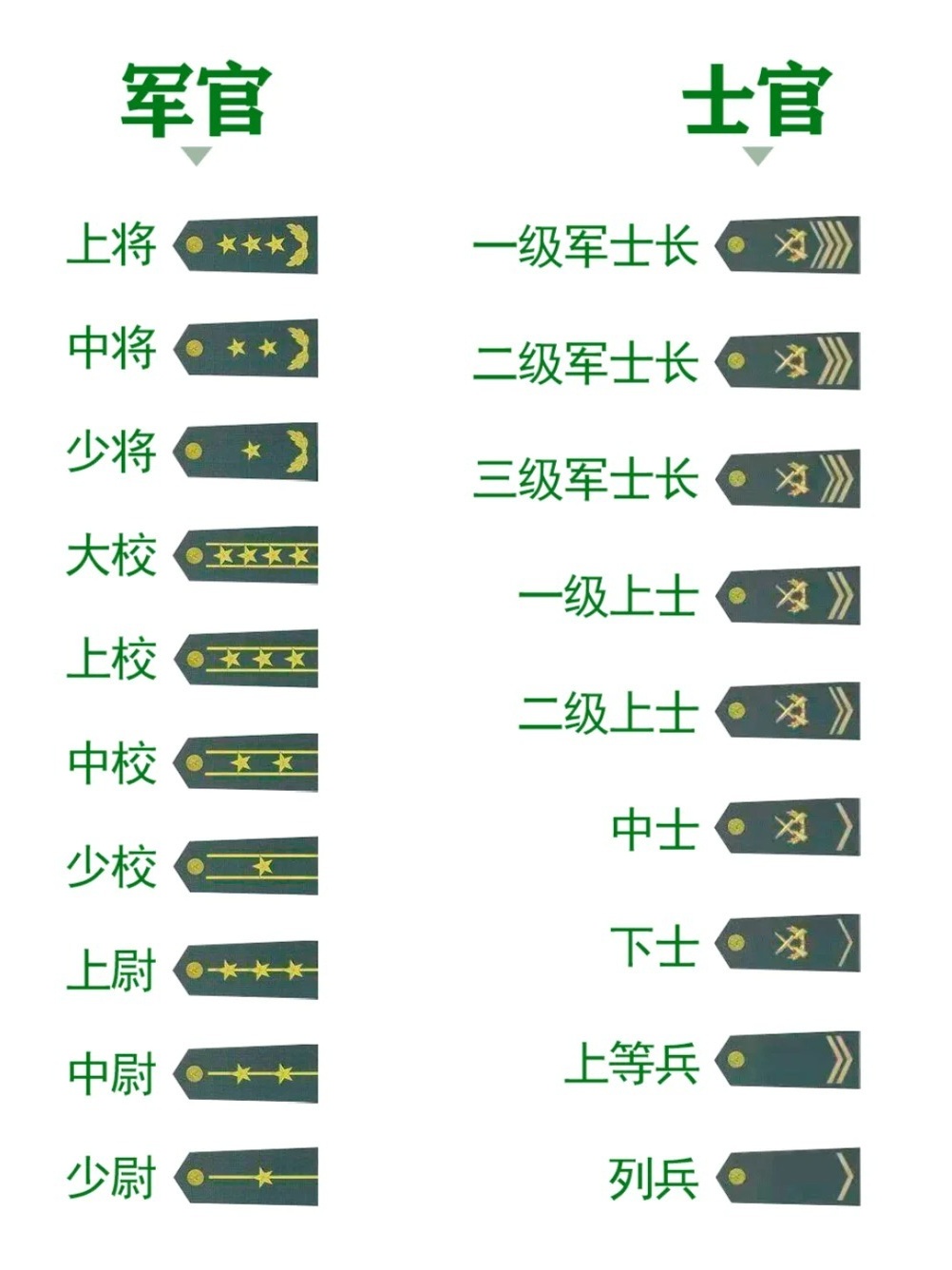 上将的数量与演变，历史上的变迁与现代的发展，上将的数量演变，历史变迁与现代发展概览