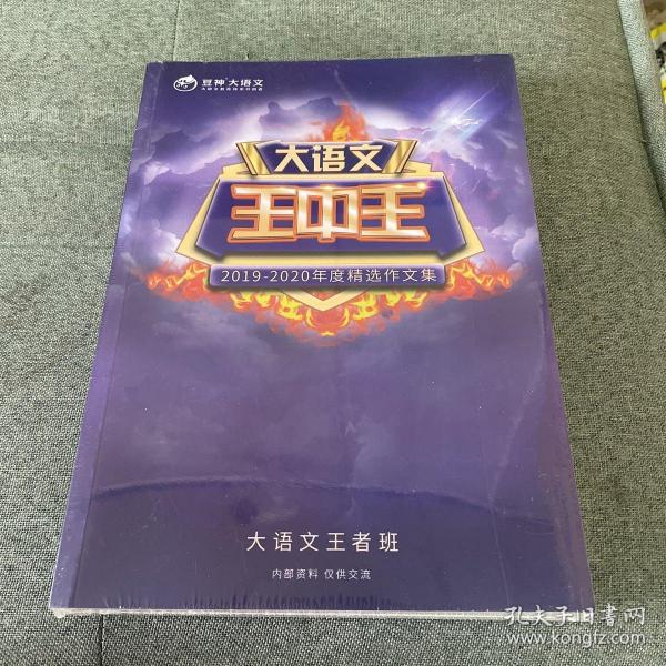 探索2019王中王资料一肖中qr，解密其背后的故事与意义，解密王中王资料背后的故事与意义，探索肖中QR的奥秘（2019年）