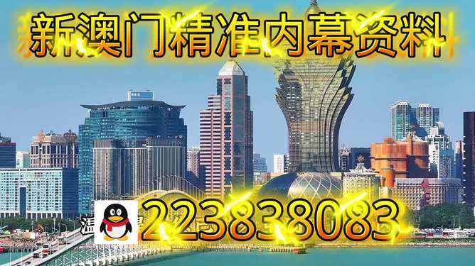 澳门彩票开奖结果，探索数字背后的故事与期待，澳门彩票开奖结果揭秘，数字背后的故事与期待