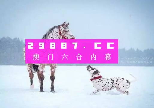 澳门一肖一码与香港，探索预测准确性的神秘面纱，澳门一肖一码与香港，揭秘预测准确性的神秘面纱