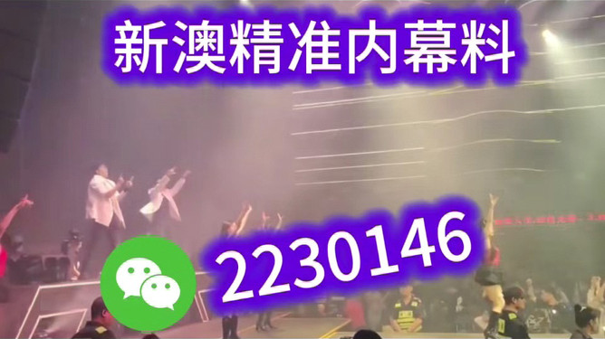 探索未来，2025新澳门今晚特马直播展望，2025新澳门特马直播展望，探索未来之路