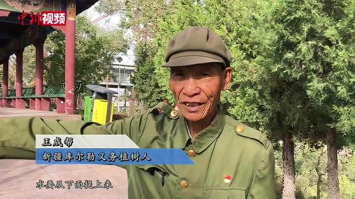 王成帮个人简历，王成帮个人简介
