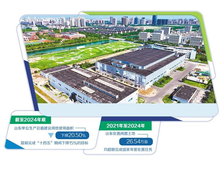 凤凰网新闻网与凤凰新闻，新闻传播的卓越平台，凤凰网新闻网与凤凰新闻，卓越新闻传播平台