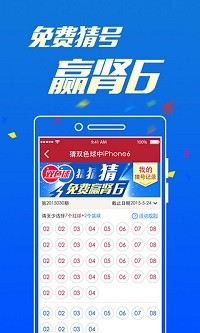 白小姐六肖选一肖王中王，揭秘神秘预测背后的故事，揭秘白小姐六肖选一肖王中王的预测神秘面纱