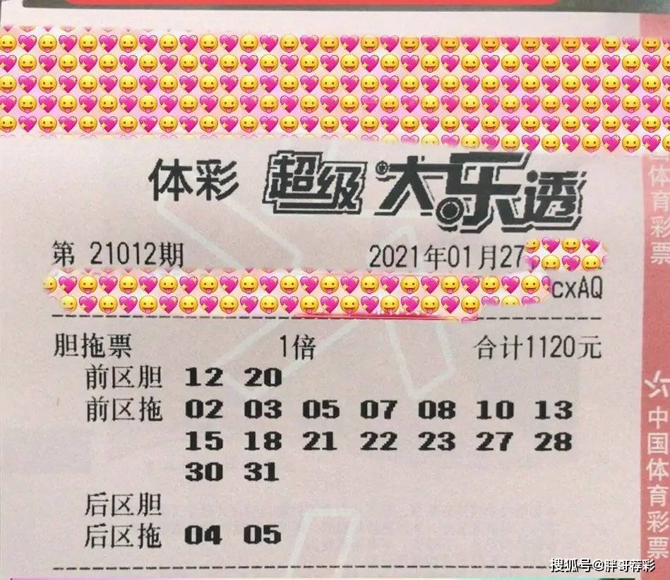香港六合彩开奖结果及今晚开奖记录深度解析，香港六合彩开奖结果与深度解析，历史记录与预测分析