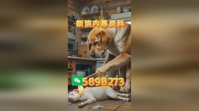 澳门精准四不像