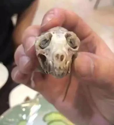 华南海鲜市场老板背景深度解析，强大的实力与不凡的成就，华南海鲜市场老板背景深度解析，实力非凡的成就与背景揭秘
