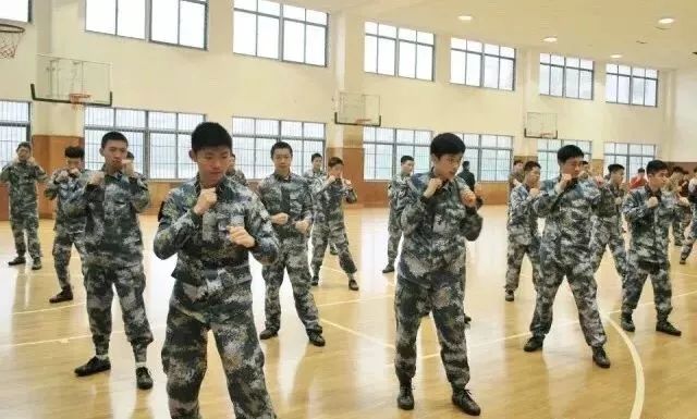 初中毕业武警学校招生条件解析，初中毕业武警学校招生条件深度解析