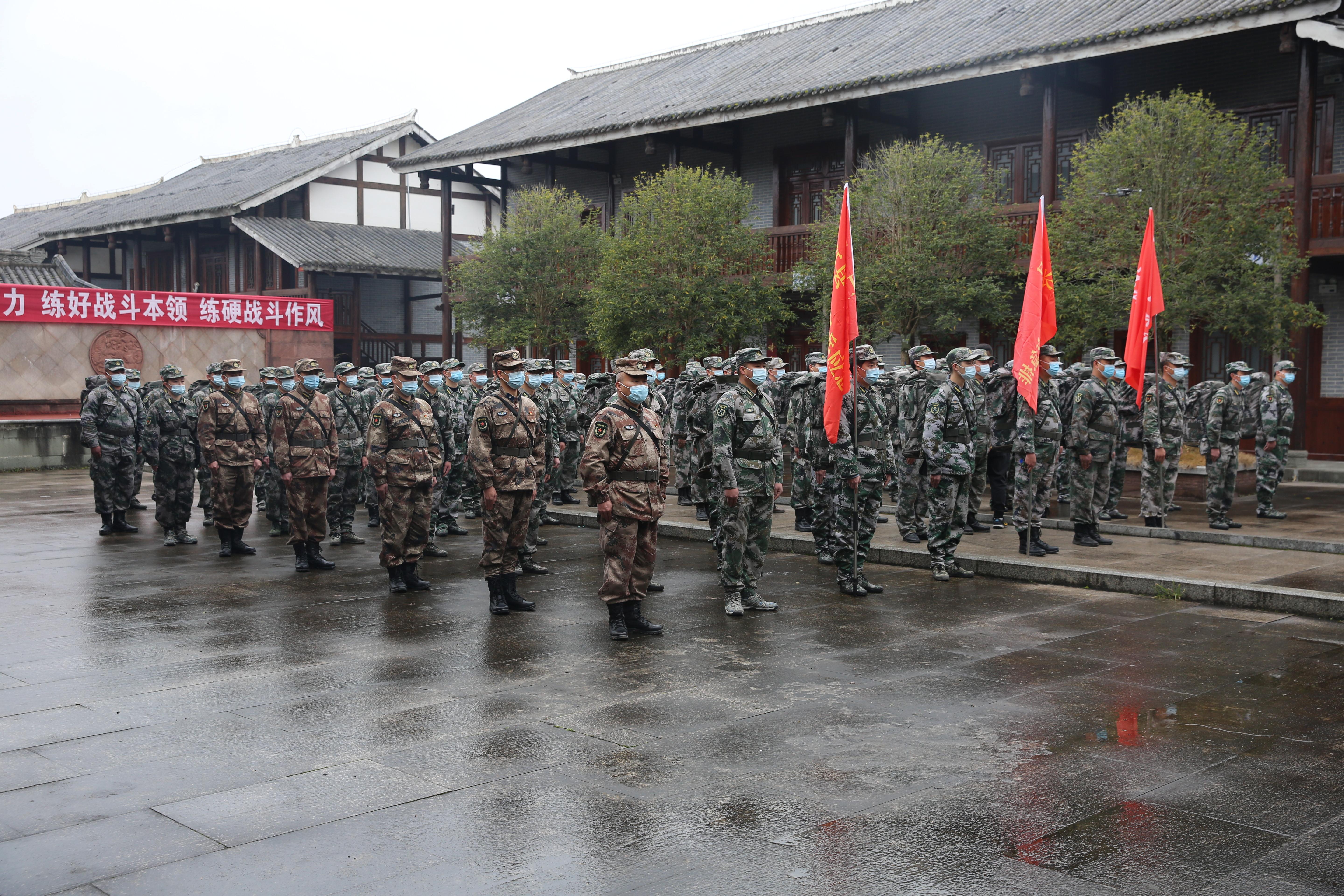 全球安全局势深度解析