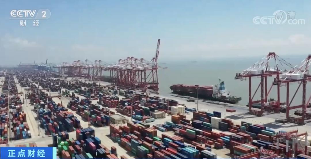 迈向知识共享的未来，2025全年资料免费大全，迈向知识共享的未来，2025全年资料免费大全总览
