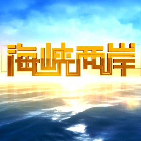 中央四套海峡两岸回放，深度解读与反思，中央四套海峡两岸节目回放，深度解读与反思